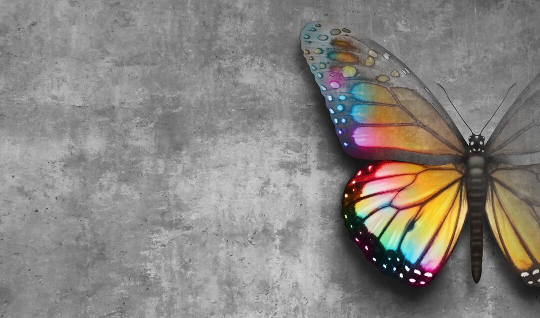 Was wollen uns Angst, Trauer, Freude und Co. sagen?