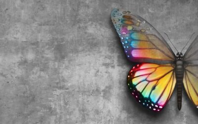 Was wollen uns Angst, Trauer, Freude und Co. sagen?